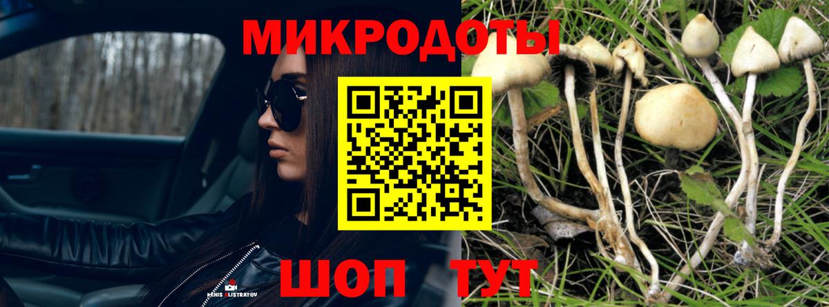 Псилоцибиновые грибы мухоморы Воронеж